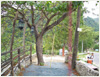 Boljoon Cafe