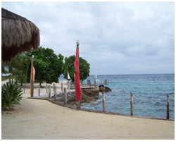 Clubfortmed Image