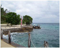 Clubfortmed Image
