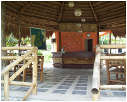 Clubfortmed Image