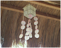 Clubfortmed Image