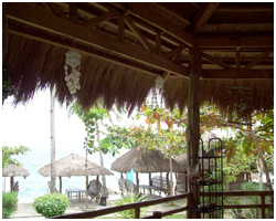 Clubfortmed Image