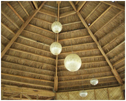 Clubfortmed Image