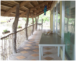 Clubfortmed Image