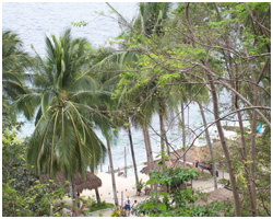 Clubfortmed Image