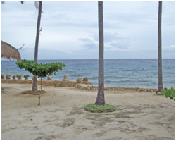 Mediong Image