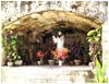 Dalaguete Church