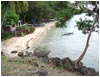 Dalaguete Obong