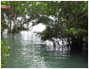 Dalaguete Obong