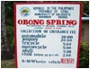 Dalaguete Obong