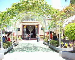 Sanchurch Image